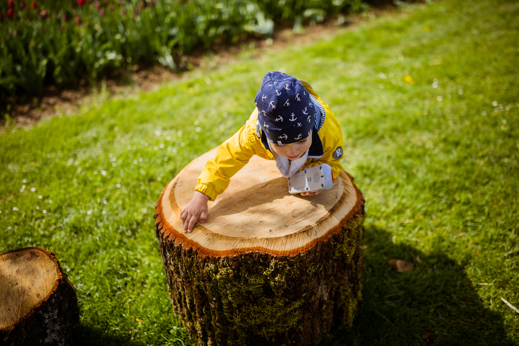 Export x3 5D4 6552 Familienfotoshooting 2019 Hefti